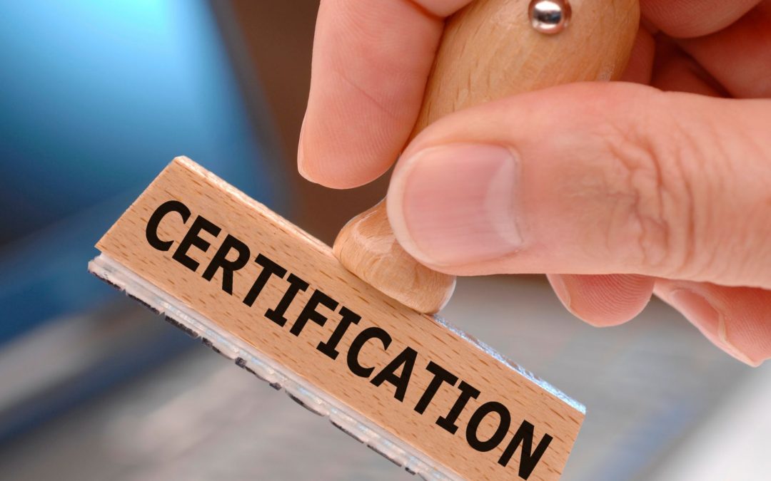 How to Obtain a Single Status Certificate from India: A Comprehensive Step-by-Step Guide